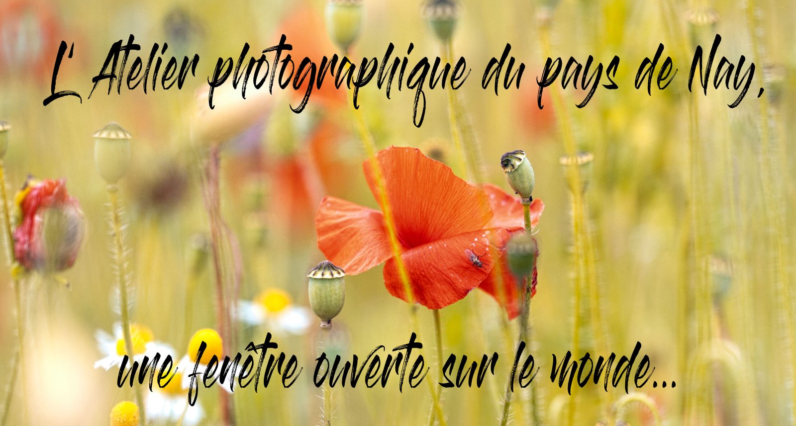 Photo-page-A-propos-principale